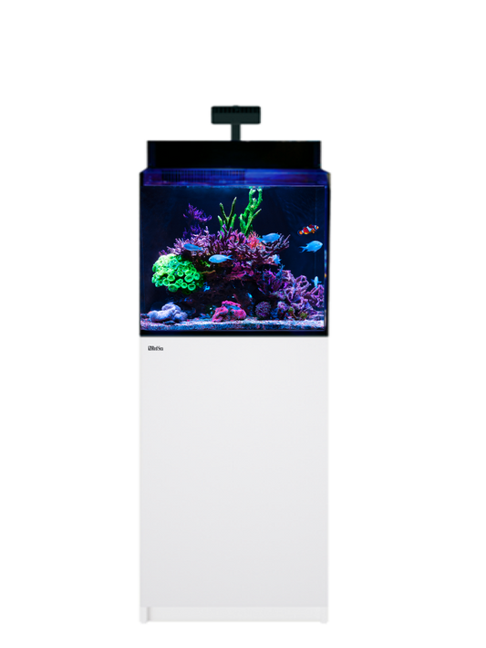 Red Sea Max Nano XL G2 Aquarium - White