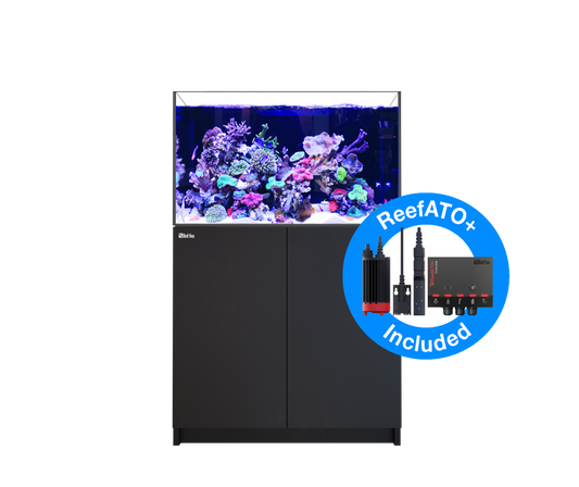 Red Sea Reefer G2+ 300 Aquarium - Black