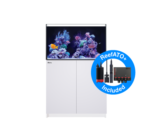 Red Sea Reefer G2+ 250 Aquarium - White