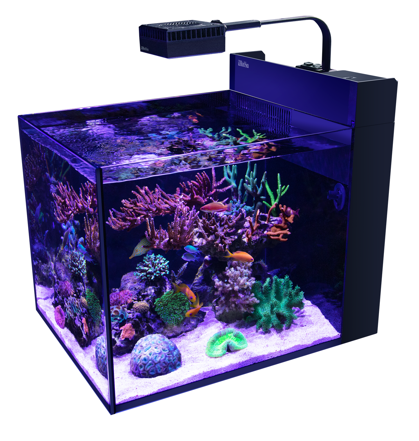 Red Sea Max Nano G2 Peninsula Aquarium Only