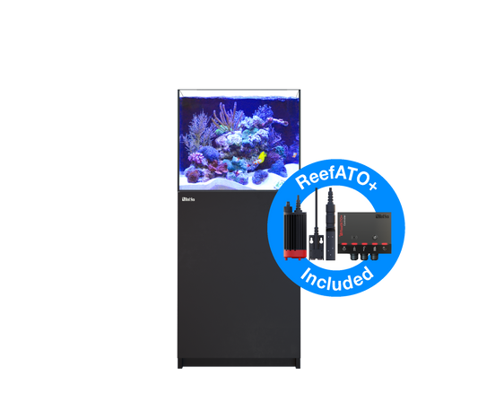 Red Sea Reefer G2+ 200 Aquarium - Black