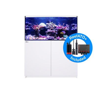 Red Sea Reefer G2+ 350 Aquarium - White