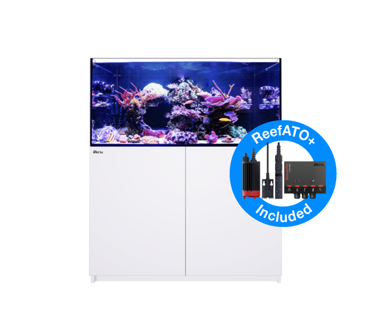 Red Sea Reefer G2+ 350 Aquarium - White