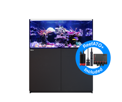 Red Sea Reefer G2+ 350 Aquarium - Black