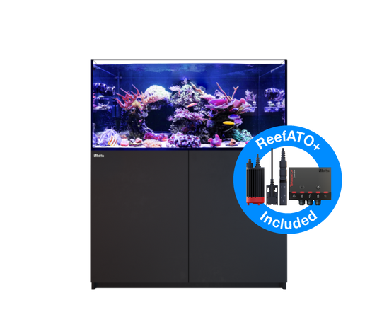 Red Sea Reefer G2+ 350 Aquarium - Black