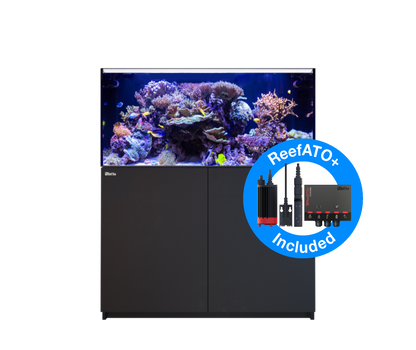 Red Sea Reefer G2+ 425 Aquarium - Black