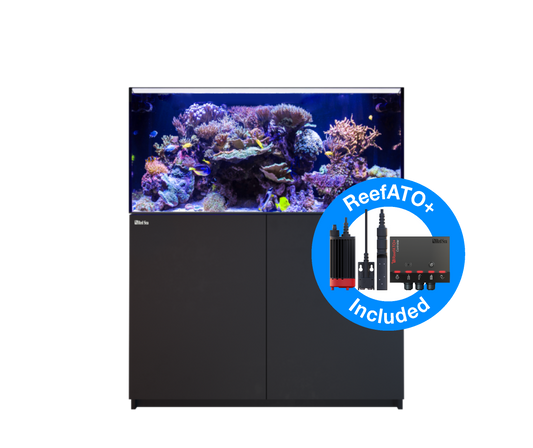 Red Sea Reefer G2+ 425 Aquarium - Black