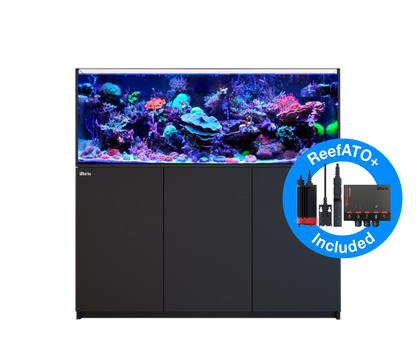 Red Sea Reefer G2+ 525 Aquarium - Black