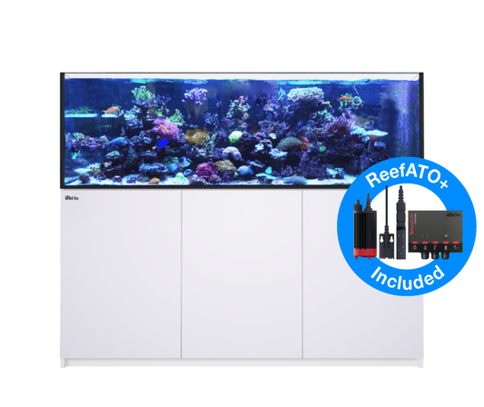 Red Sea Reefer G2+ 750 Aquarium - White