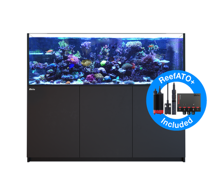 Red Sea Reefer G2+ 750 Aquarium - Black