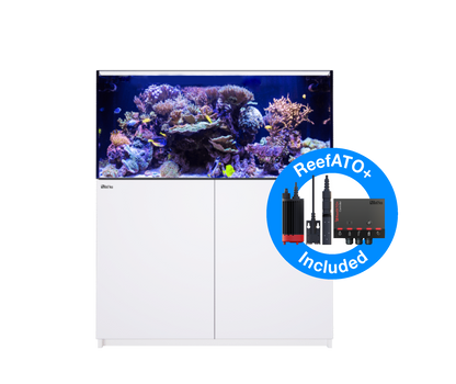 Red Sea Reefer G2+ 425 Aquarium - White