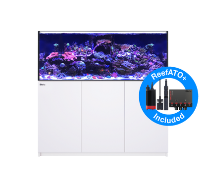 Red Sea Reefer G2+ 625 Aquarium - White