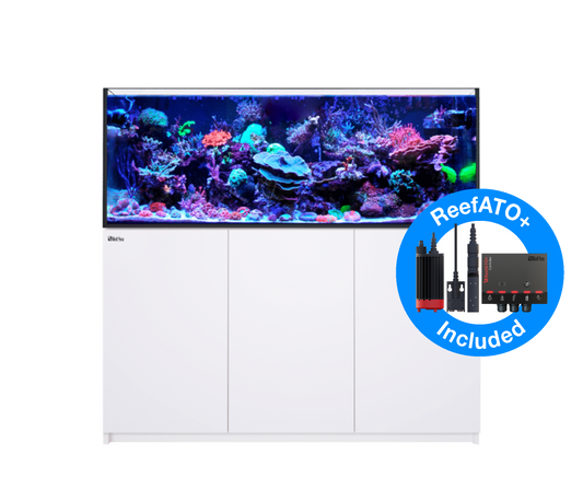 Red Sea Reefer G2+ 525 Aquarium - White