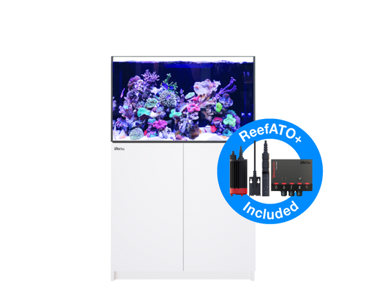 Red Sea Reefer G2+ 300 Aquarium - White