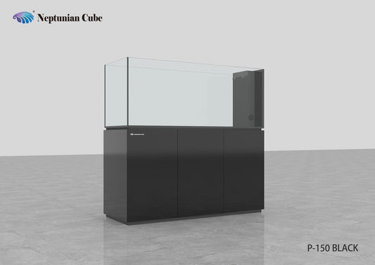 Neptunian Cube P150 - Black