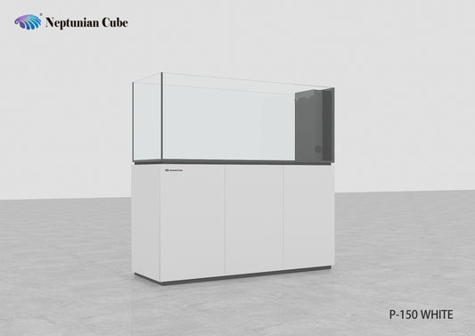 Neptunian Cube P150 - White