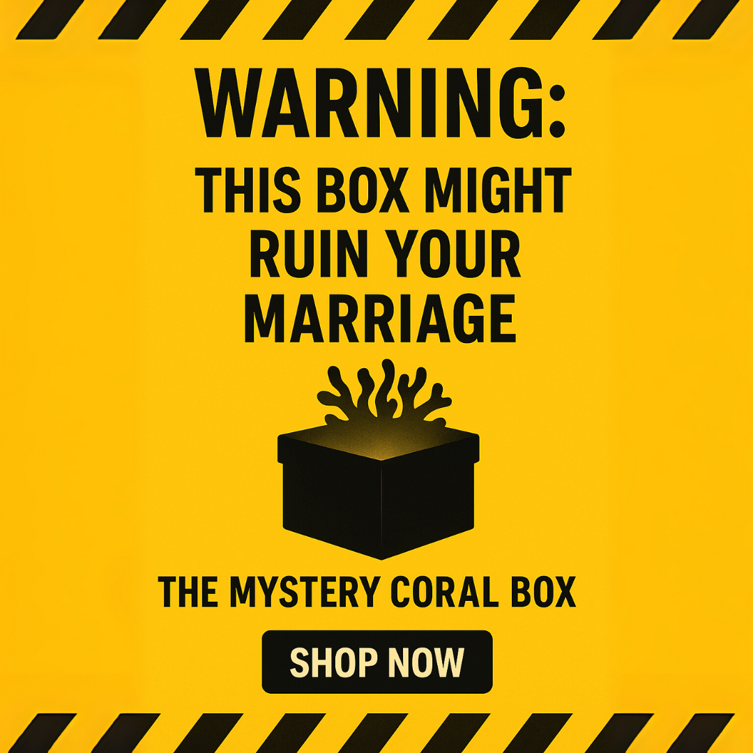 Reefer’s Mystery Box (2–4 frags, RRP £100+)